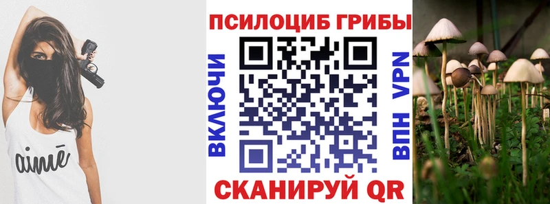 Псилоцибиновые грибы мухоморы  Купить  Вятские Поляны 